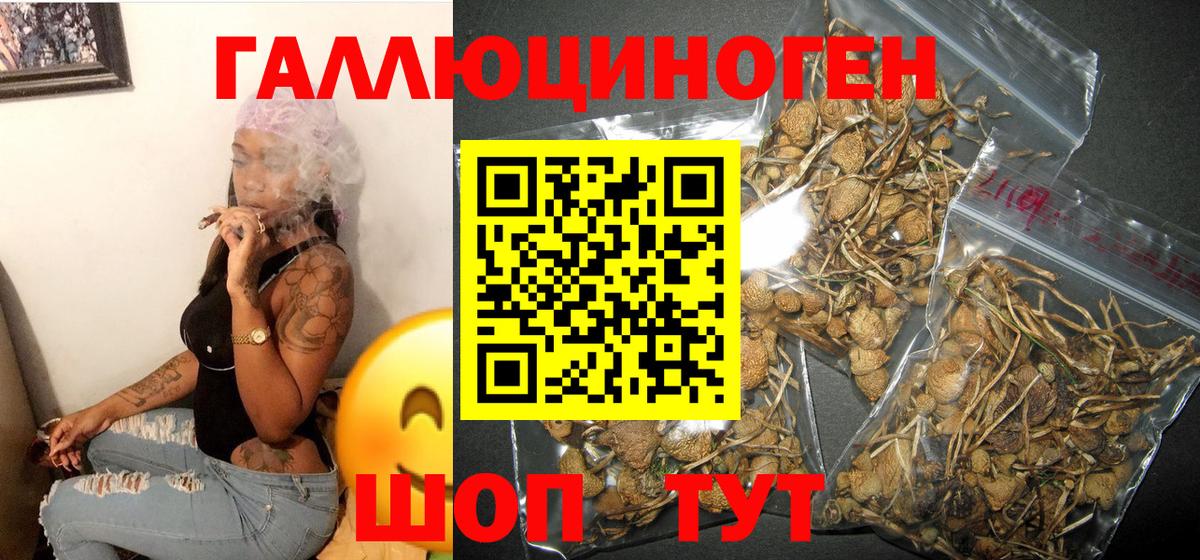 Галлюциногенные грибы Magic Shrooms  Вход с VPN  Ефремов 